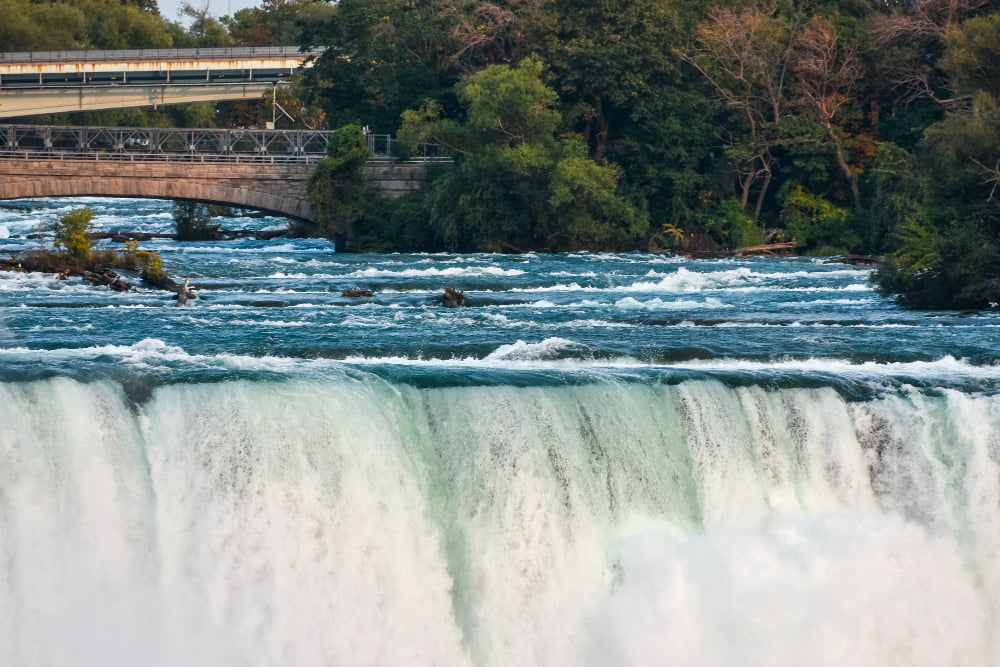 Family summer adventures in St. Catharines and Niagara Region